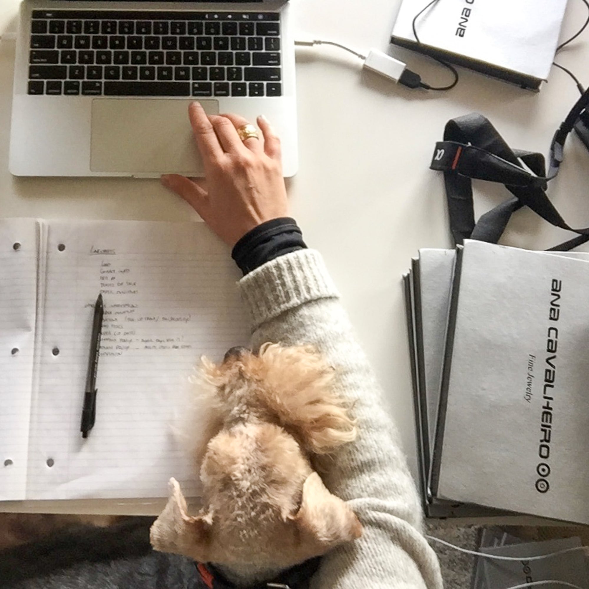 Woman seating at a desk with jewelry box and a dog in her lap clicking on the laptop computer